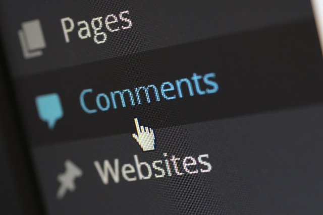 WordPress for Bloggers: Creating Engaging Content